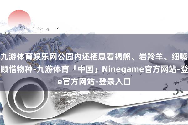 九游体育娱乐网公园内还栖息着褐熊、岩羚羊、细嘴松鸡等顾惜物种-九游体育「中国」Ninegame官方网站-登录入口