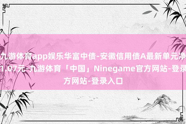 九游体育app娱乐华富中债-安徽信用债A最新单元净值为1.07元-九游体育「中国」Ninegame官方网站-登录入口